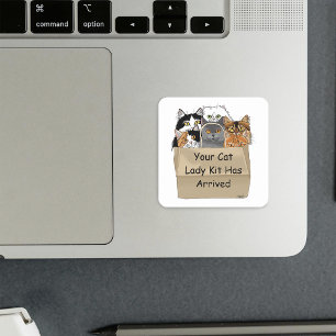 Cat Dam Starter Kit Fyrkantigt Klistermärke