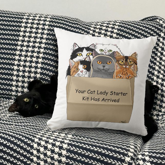Cat Dam Starter Kit Kudde (Skapare uppladdad)