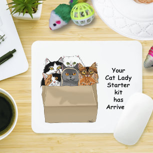 Cat Dam Starter Kit Musmatta
