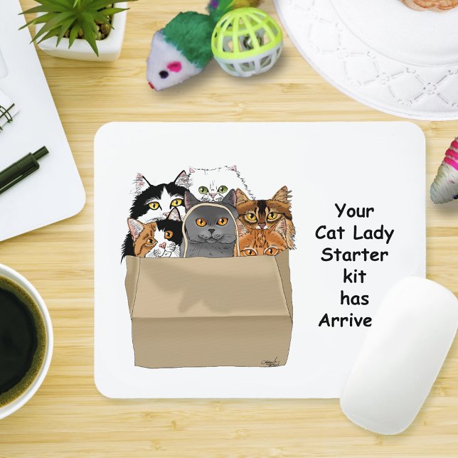 Cat Dam Starter Kit Musmatta (Skapare uppladdad)