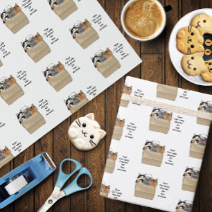 Cat Dam Starter Kit Presentpapper