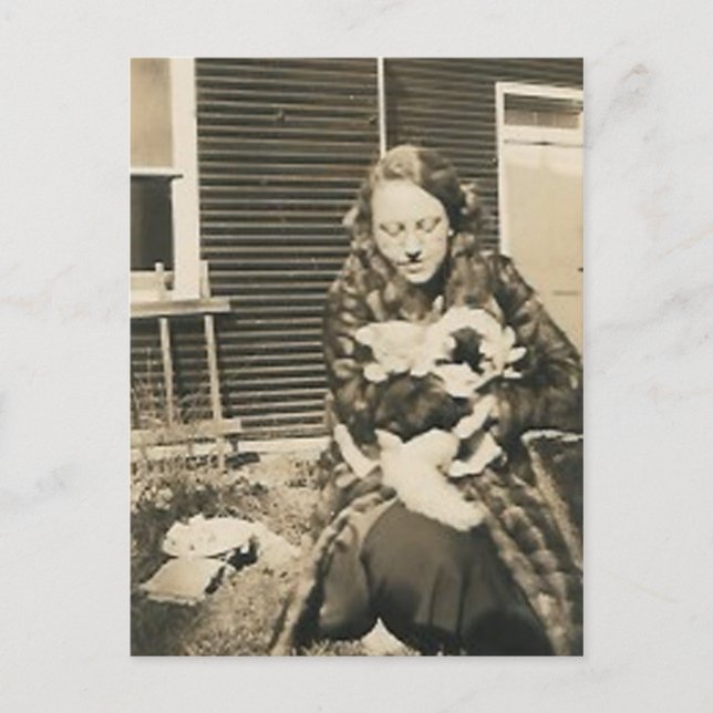 cat dam vykort (Framsida)