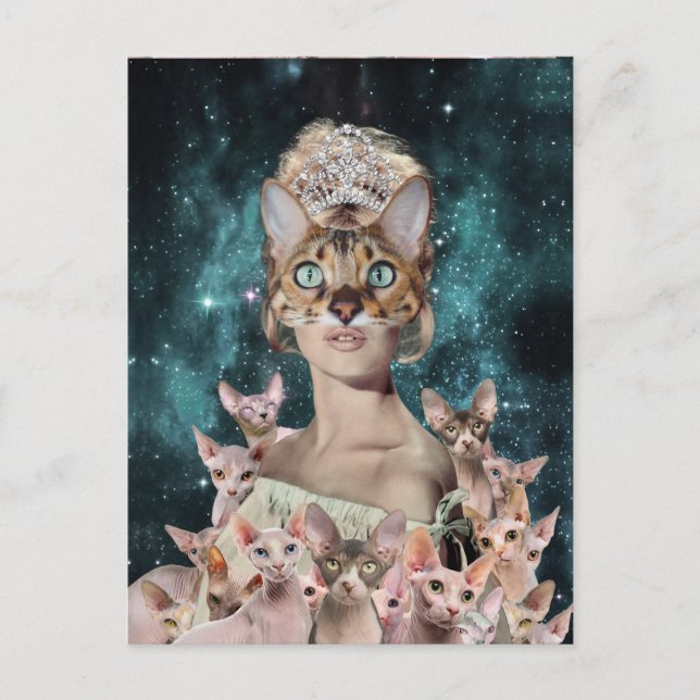 Cat Dam Vykort (Framsida)