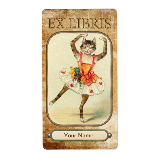 Cat Dance Bok Tallrikar Fraktsedel (Framsidan)