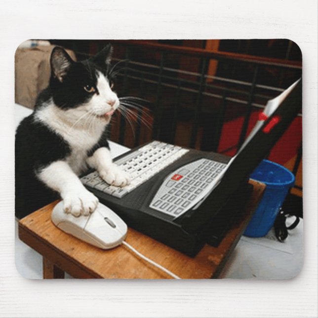 CAT DATORMOUSEPAD MUSMATTA (Framsidan)