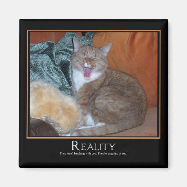 Cat Demotivator Magnet (Framsidan)