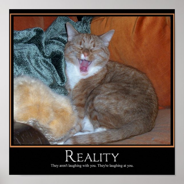 Cat Demotivator Poster (Framsidan)