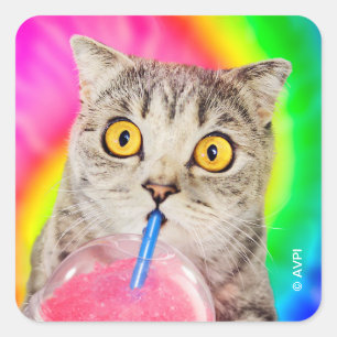 Cat Drinking Slushie Fyrkantigt Klistermärke