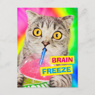 Cat Drinking Slushie Inbjudan Vykort