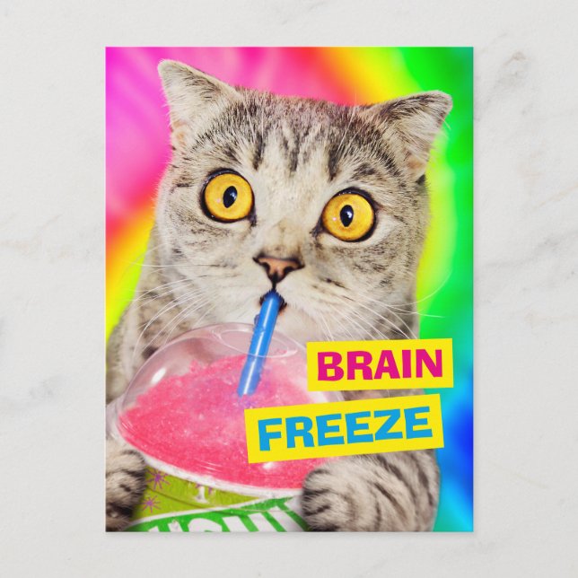 Cat Drinking Slushie Inbjudan Vykort (Framsida)