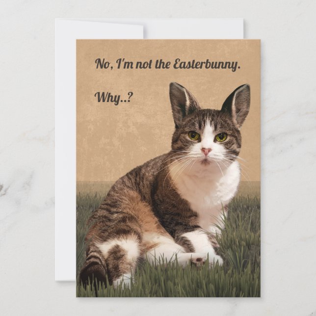 Cat-Easterbunny 🐰 😸 Julkort (Framsida)