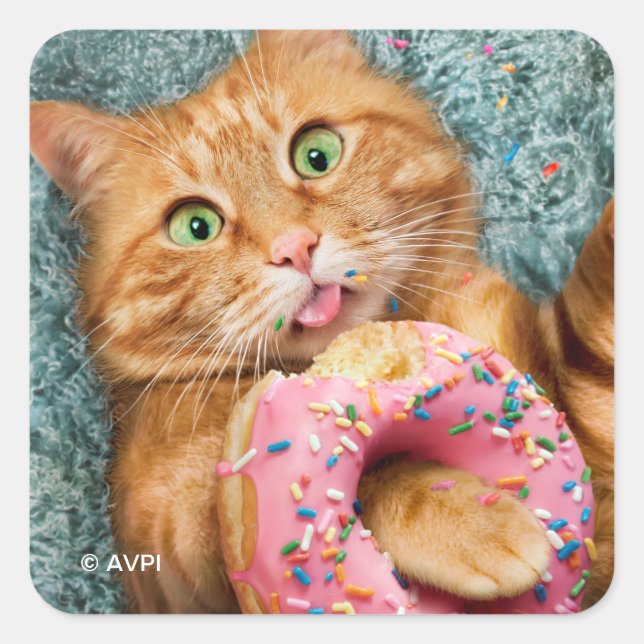 Cat Eating Donut Fyrkantigt Klistermärke (Framsida)