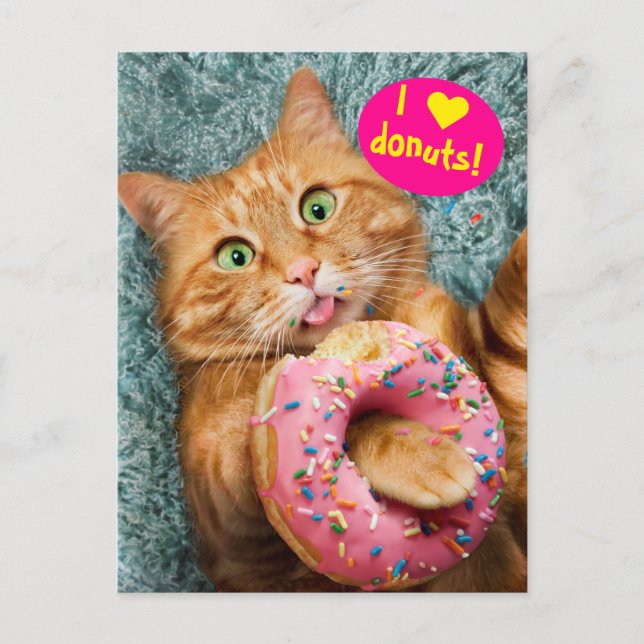 Cat Eating Donut Inbjudan Vykort (Framsida)