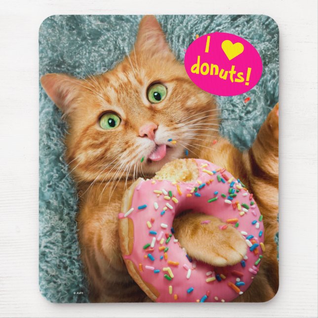 Cat Eating Donut Musmatta (Framsidan)