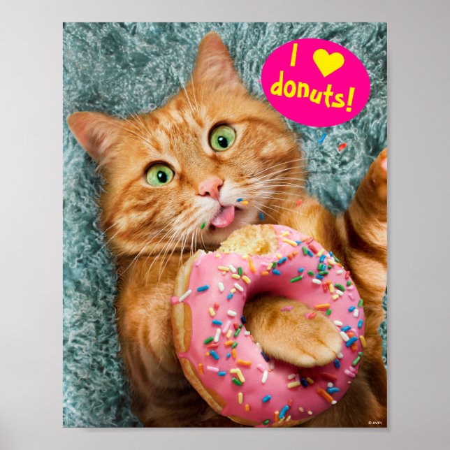 Cat Eating Donut Poster (Framsidan)