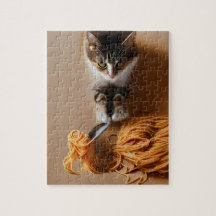 Cat Eating Spaghetti