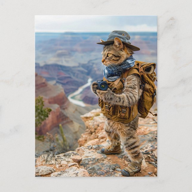 Cat Explorer i Grand Canyon Kant Helg Vykort (Framsida)