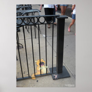 Cat-fångaren Poster