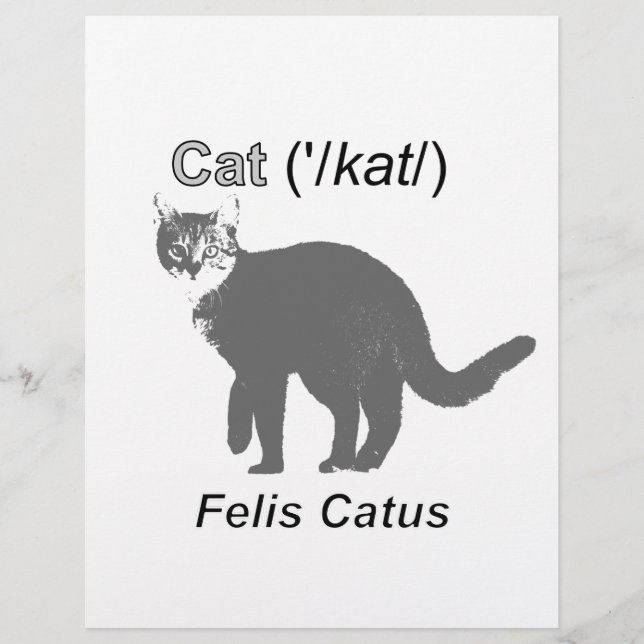Cat Felis Catus (Framsida)