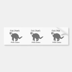 Cat Felis Catus Bildekal