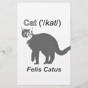 Cat Felis Catus Brevpapper