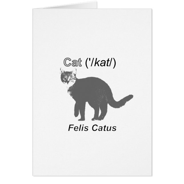 Cat Felis Catus Hälsningskort (Framsidan)