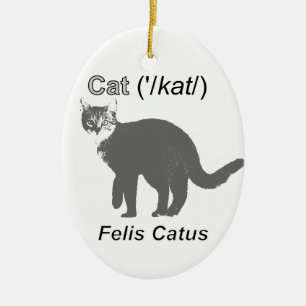 Cat Felis Catus Julgransprydnad Keramik