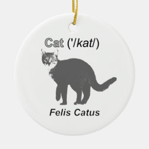 Cat Felis Catus Julgransprydnad Keramik