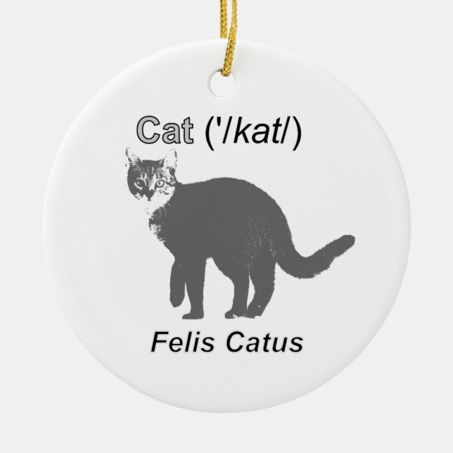 Cat Felis Catus Julgransprydnad Keramik (Framsidan)