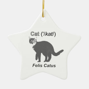 Cat Felis Catus Julgransprydnad Keramik