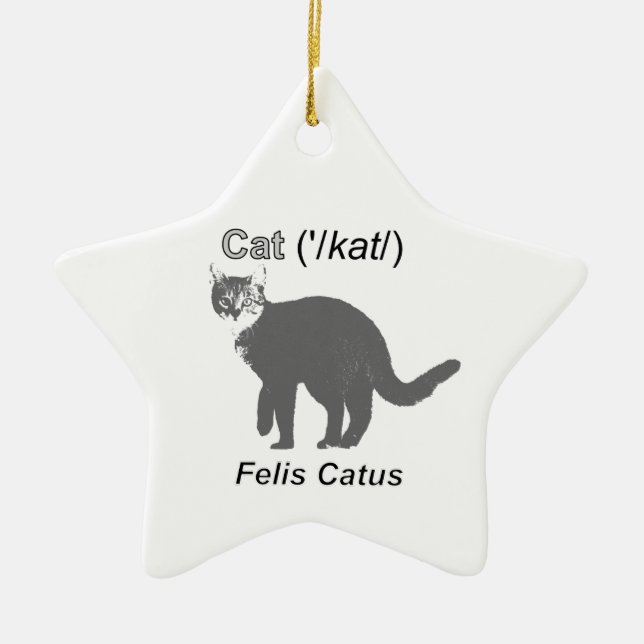 Cat Felis Catus Julgransprydnad Keramik (Framsidan)