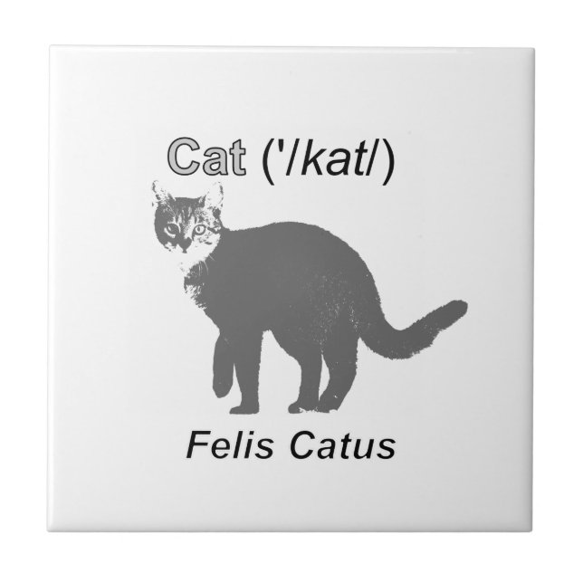 Cat Felis Catus Kakelplatta (Framsidan)