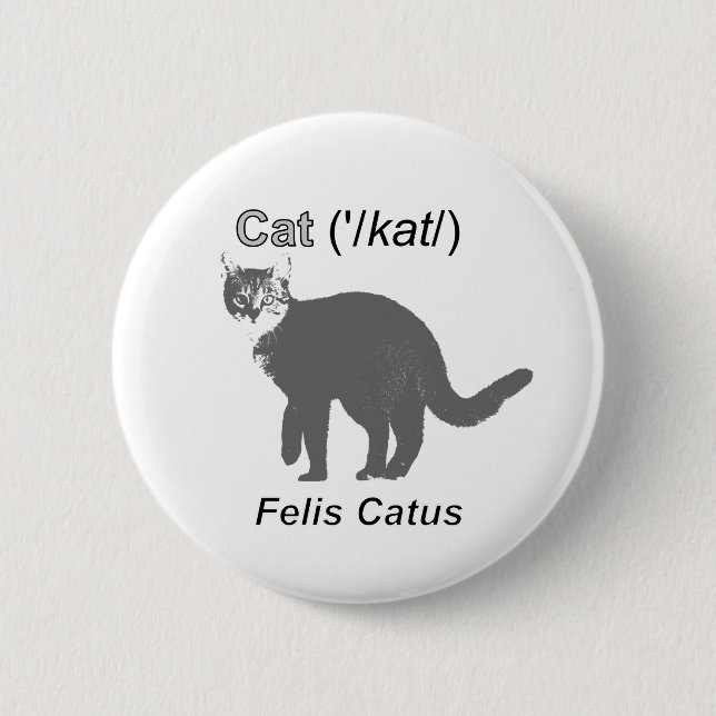 Cat Felis Catus Knapp (Framsida)