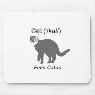 Cat Felis Catus Musmatta