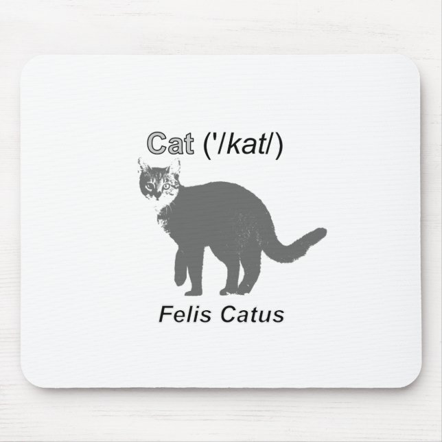 Cat Felis Catus Musmatta (Framsidan)