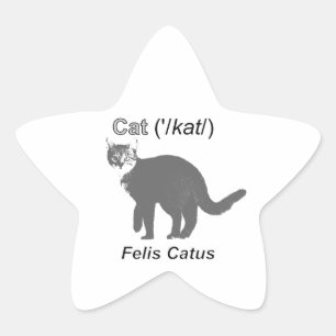 Cat Felis Catus Stjärnformat Klistermärke