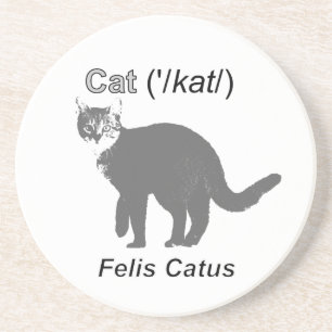Cat Felis Catus Underlägg Sandsten