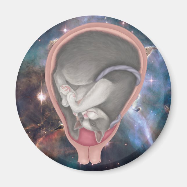 Cat Fetus Magnet (Framsidan)