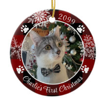 Cat First jul Red Black Play Photo