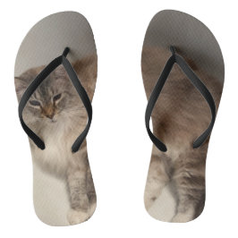 Cat Flinflip flops
