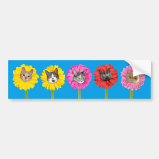 ’Cat Flowers’ Garden LOL Funny Bumper Sticker Bildekal