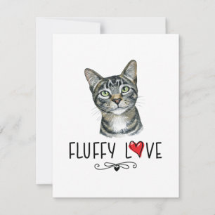 Cat Fluffy Kärlek Kattunge Meow Porträtt