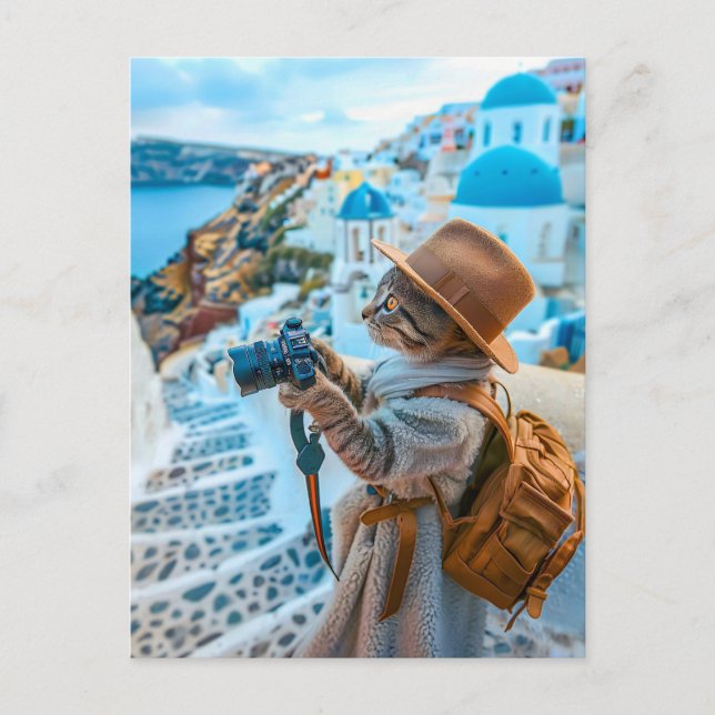 Cat-fotografier i Santorini Helg Vykort (Framsida)