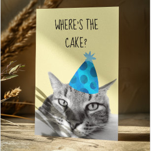 Cat Funny Birthday Card Var är kakan? Hälsningskort