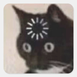 cat fyrkantigt klistermärke