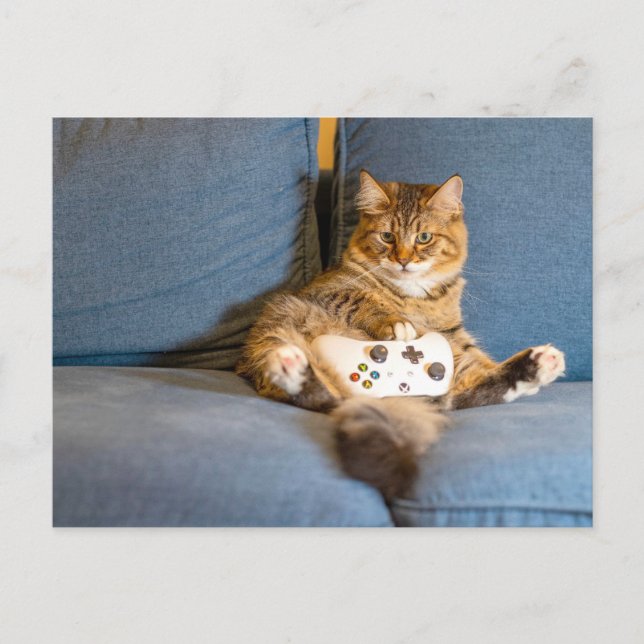 Cat Gamer Postcross Vykort (Framsida)