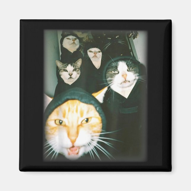 Cat Gang Meme Funny Chaotic Cats Unhinged Feline H Magnet (Framsidan)