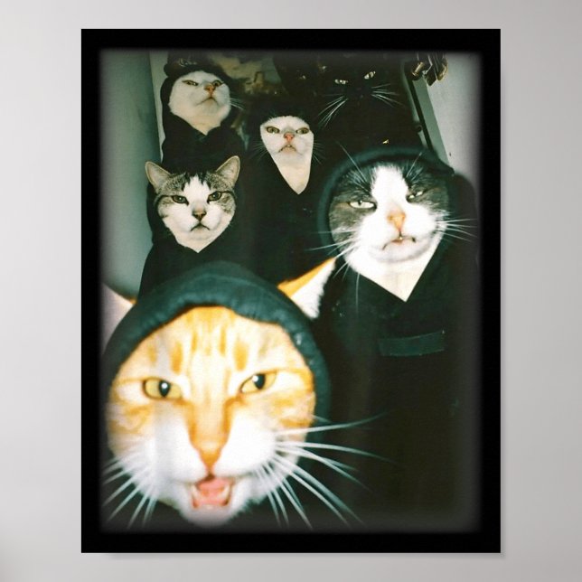 Cat Gang Meme Funny Chaotic Cats Unhinged Feline H Poster (Framsidan)