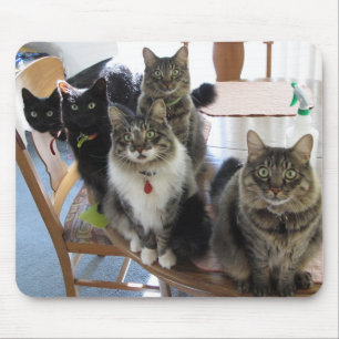 Cat Gang Mouse Pad Musmatta