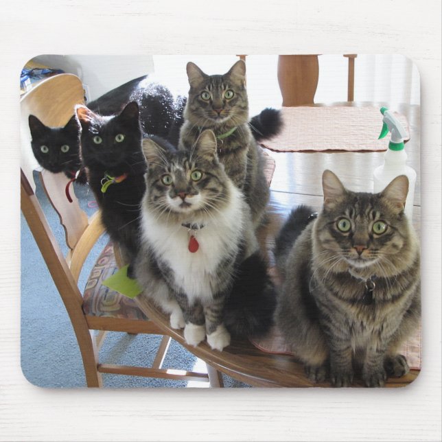 Cat Gang Mouse Pad Musmatta (Framsidan)